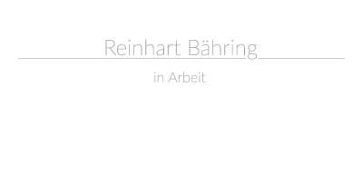 Reinhart Bähring: Umbau...